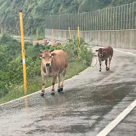 Coronel Somiedo By Unusual